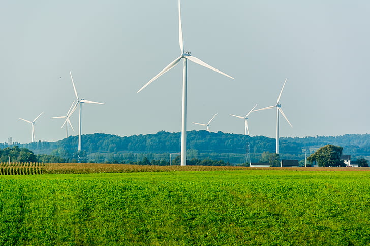 wind-power-energy-renewable-preview.jpg