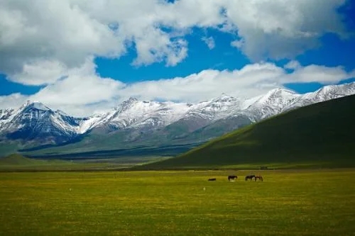 ac6eddc451da81cba14c87b34266d01609243121.webp.jpg ac6eddc451da81cba14c87b34266d01609243121.webp.jpg